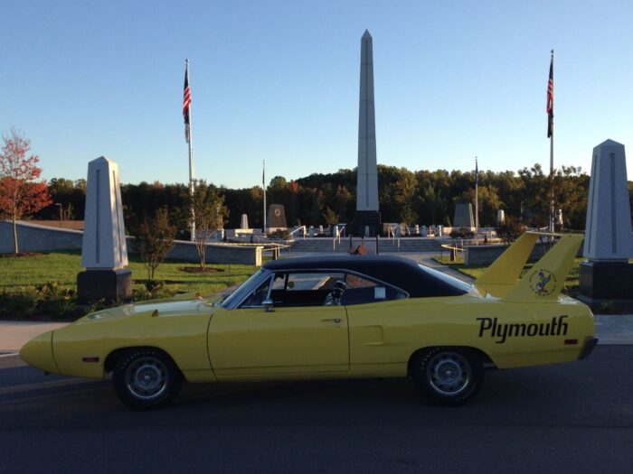 Yellow Superbird